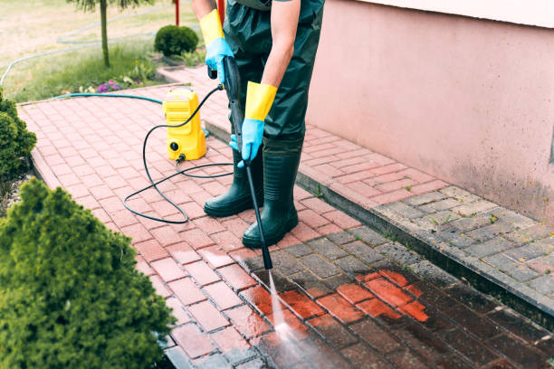 Best Driveway Pressure Washing  in Ocean View, DE